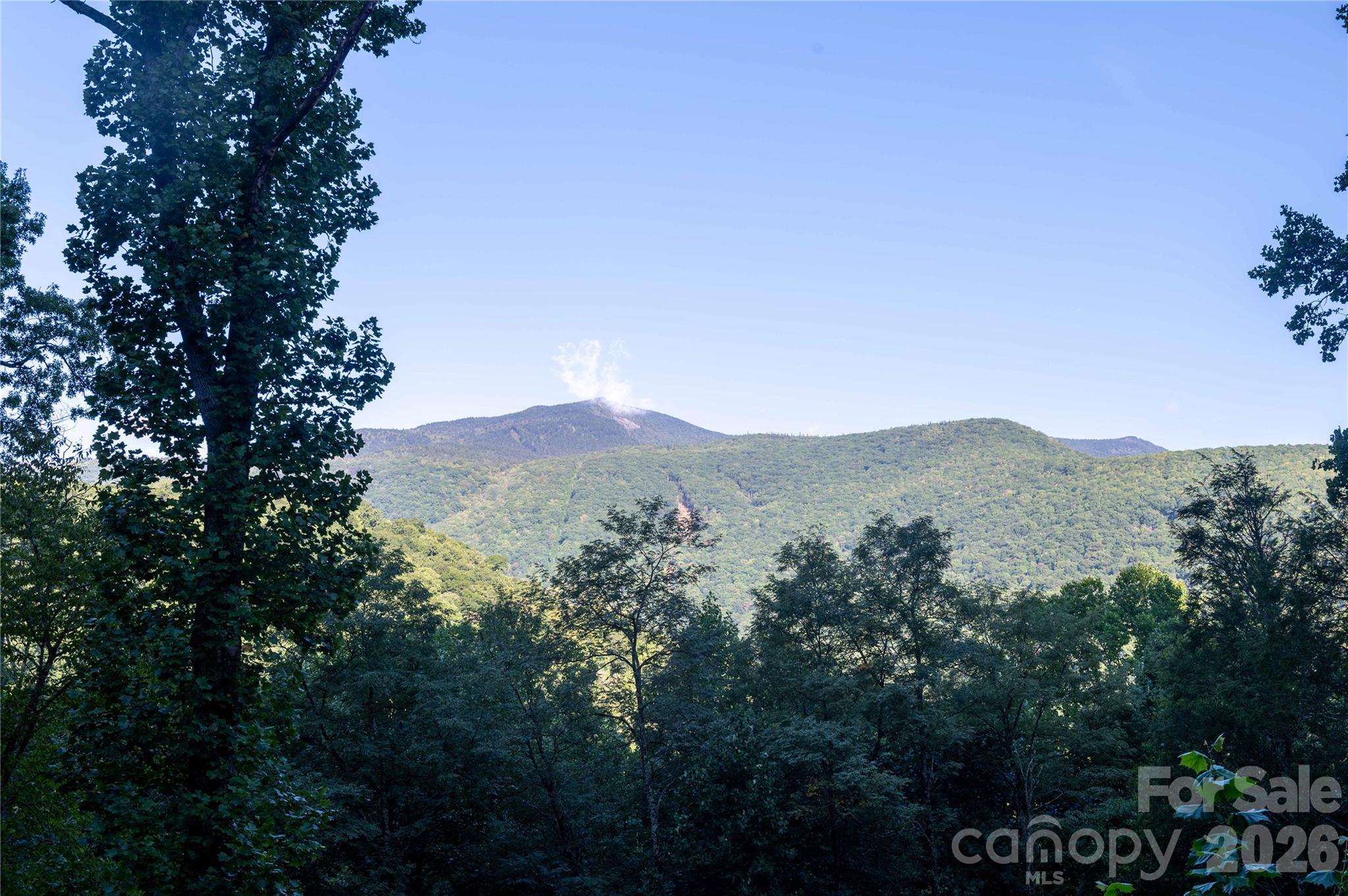 2099 South Toe River Road