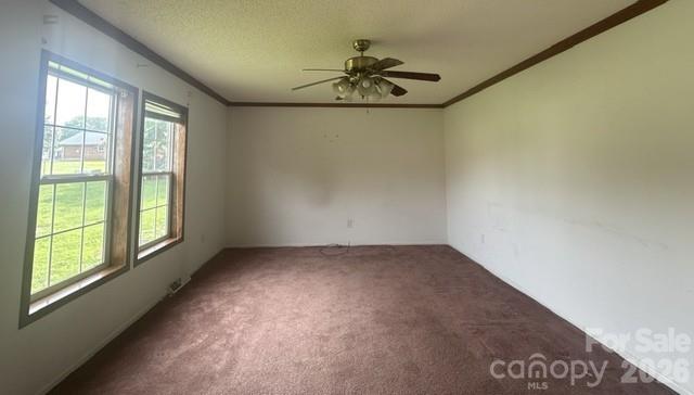 311 W Timberland Drive