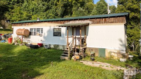 47 Denny Lane Marshall NC 28753