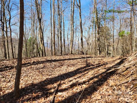 2252 Cutshall Town Road Marshall NC 28753