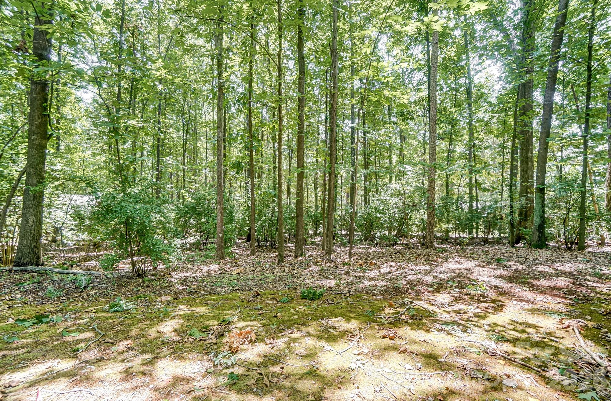 Dogwood Hills - Residential