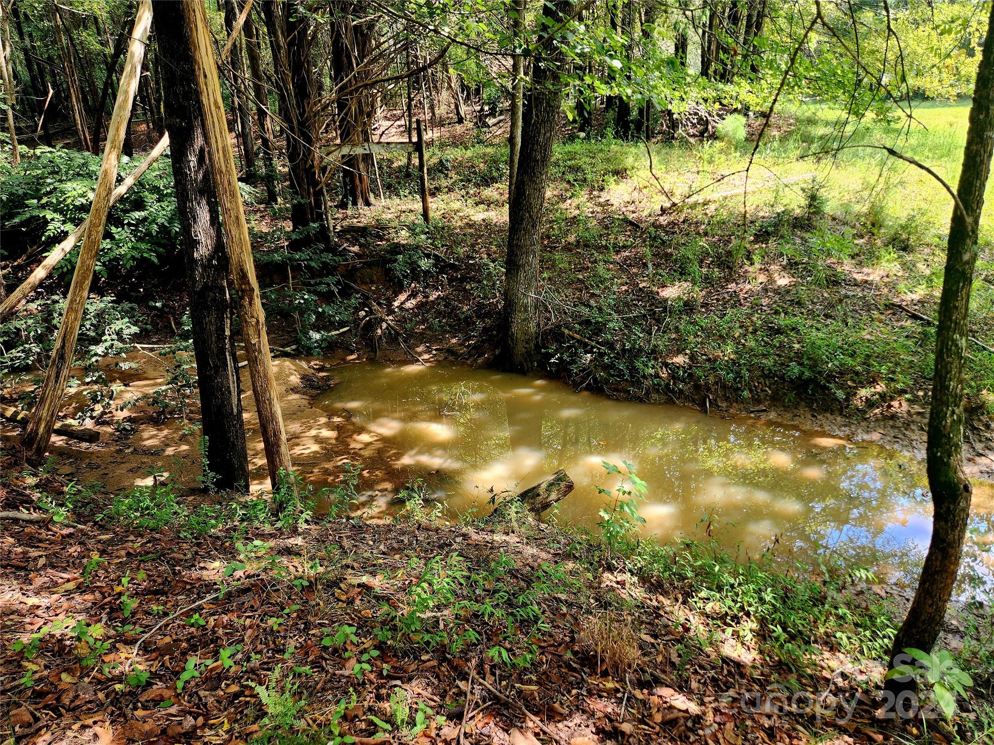 Witherspoon Estates - Residential