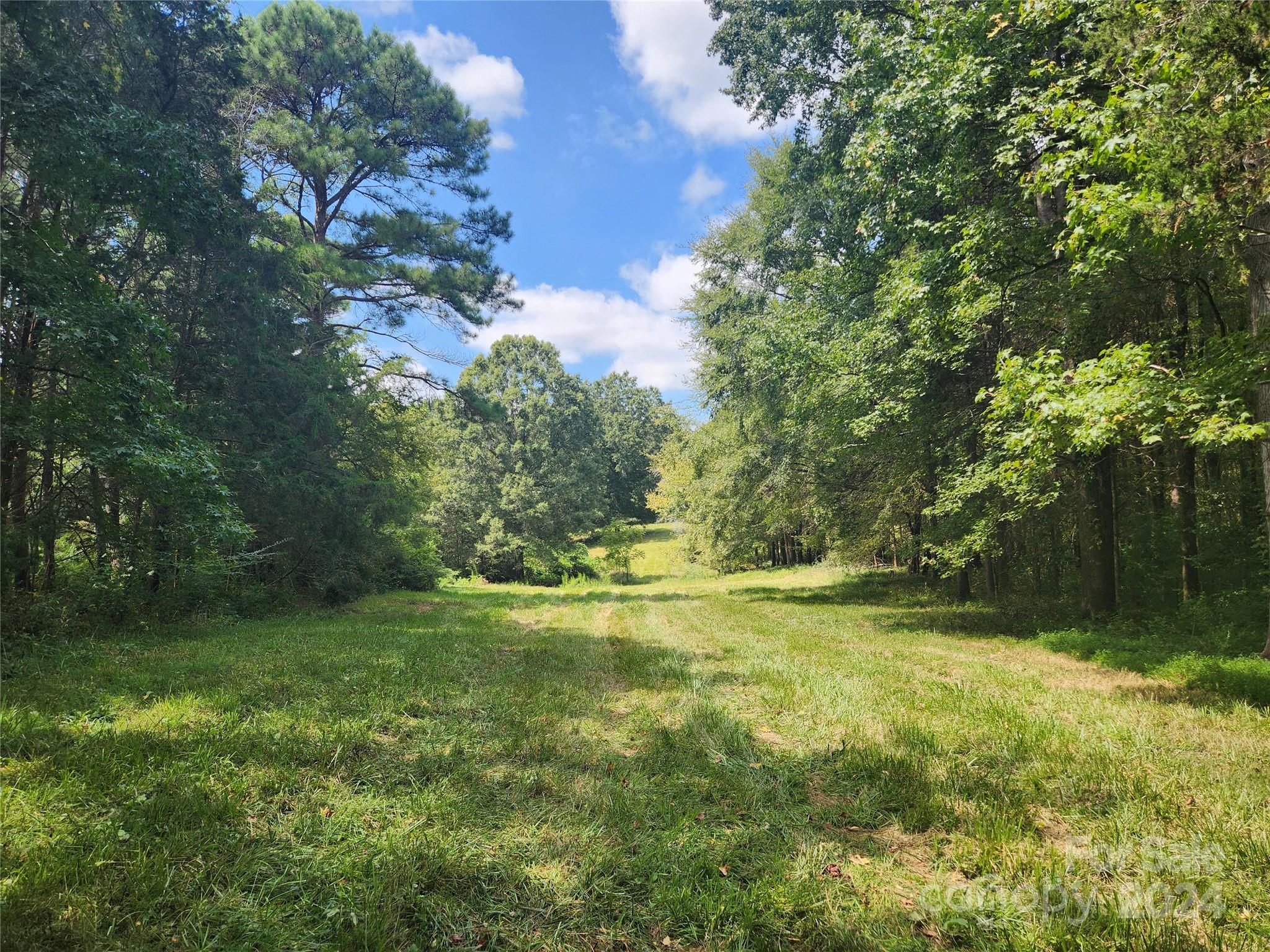 Witherspoon Estates - Residential