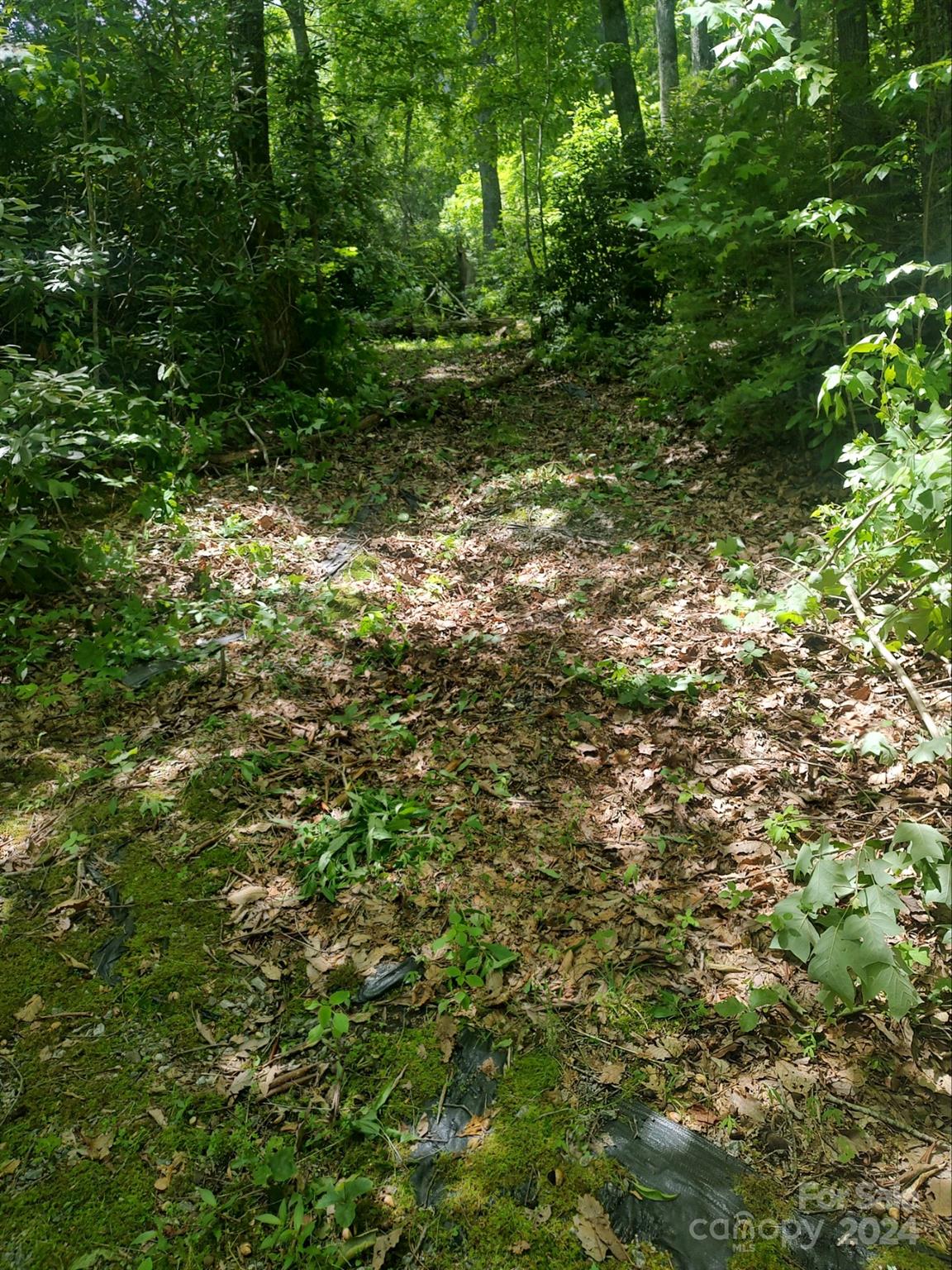 314 Burnside Trail 44