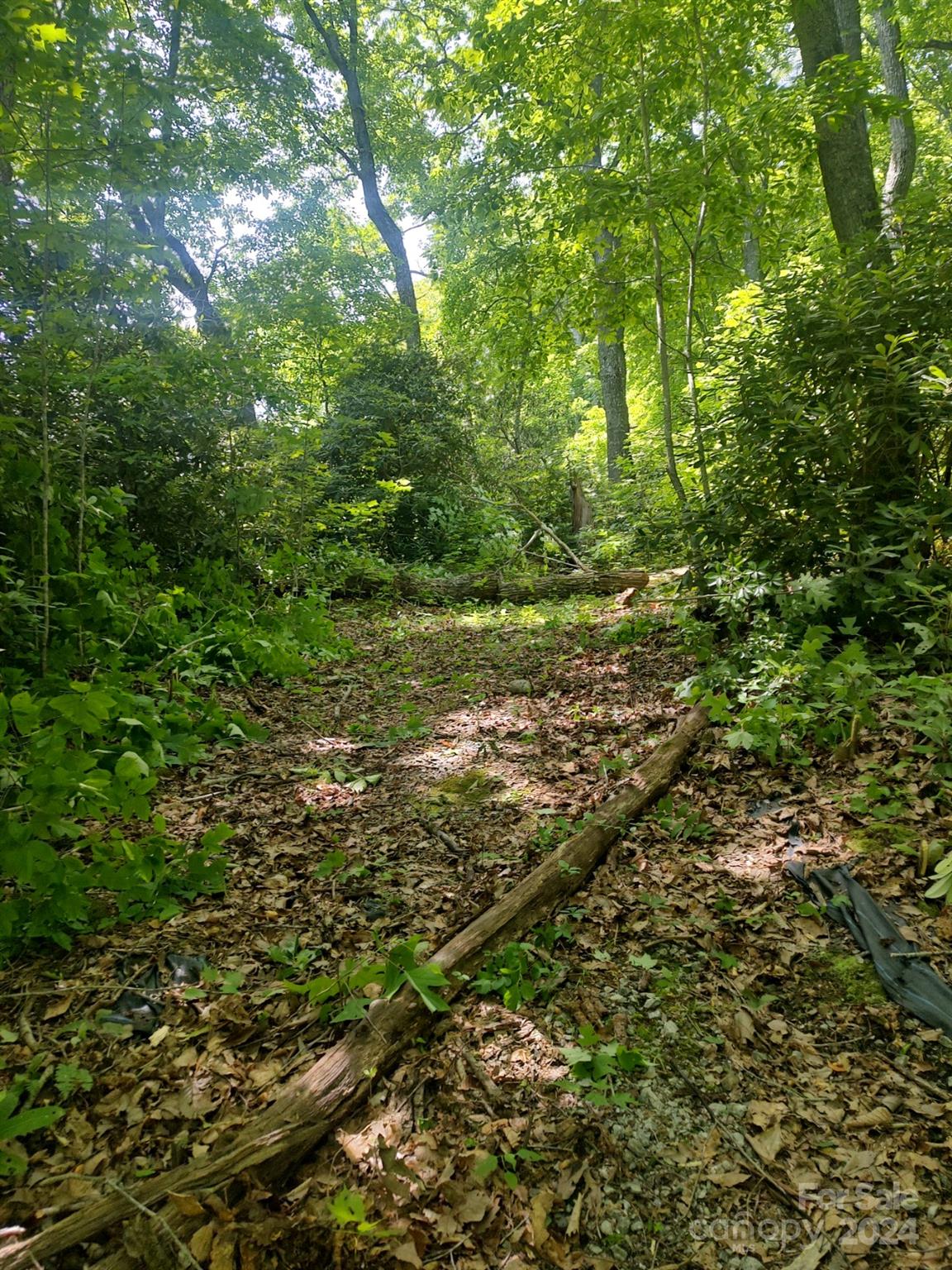 314 Burnside Trail 44