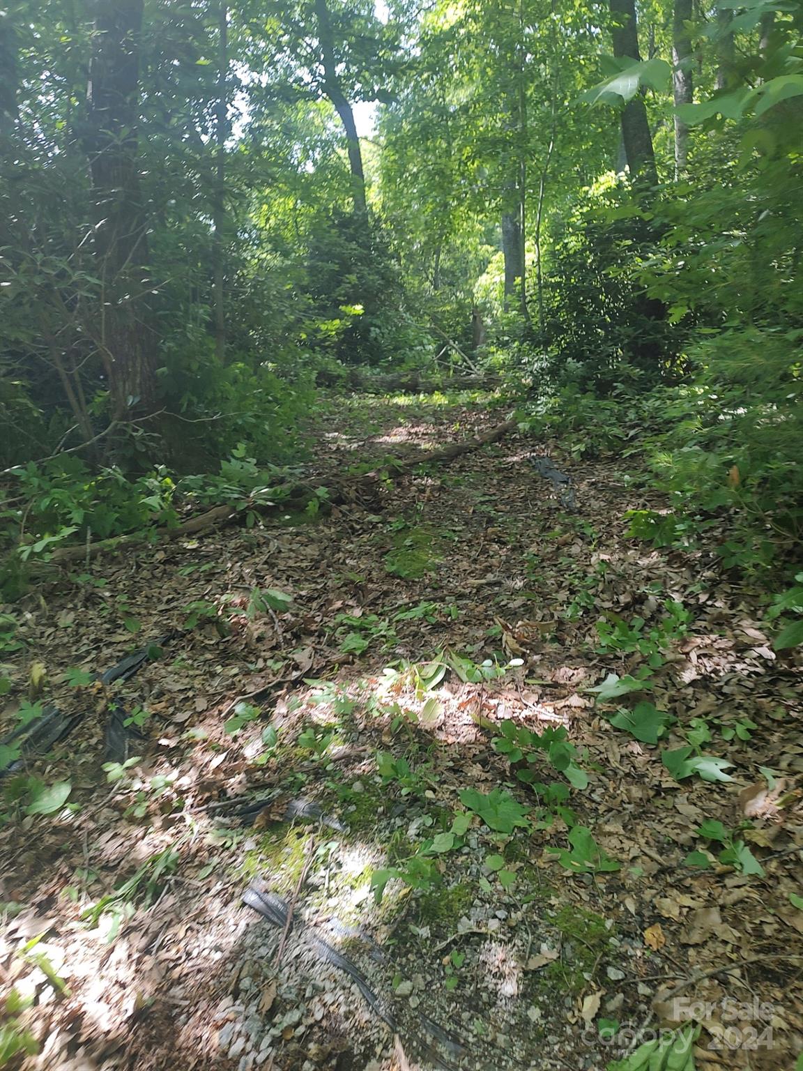 314 Burnside Trail 44