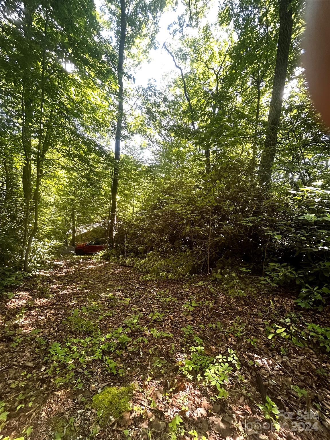 314 Burnside Trail 44