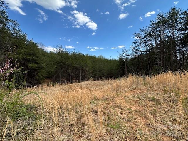 Augusta Heights - Land