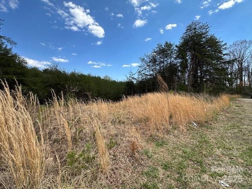 Two lots with a combined total of 1.56 acres in Conover. Zoned R-9, these lots can accommodate single family dwellings, duplexes or apartments. Whether you're looking for a private single-family oasis or for income producing multi-family, these lots are convenient to highways, shopping, dining, and schools! City water/sewer available. Tap fees are not paid. Lots must be sold together.