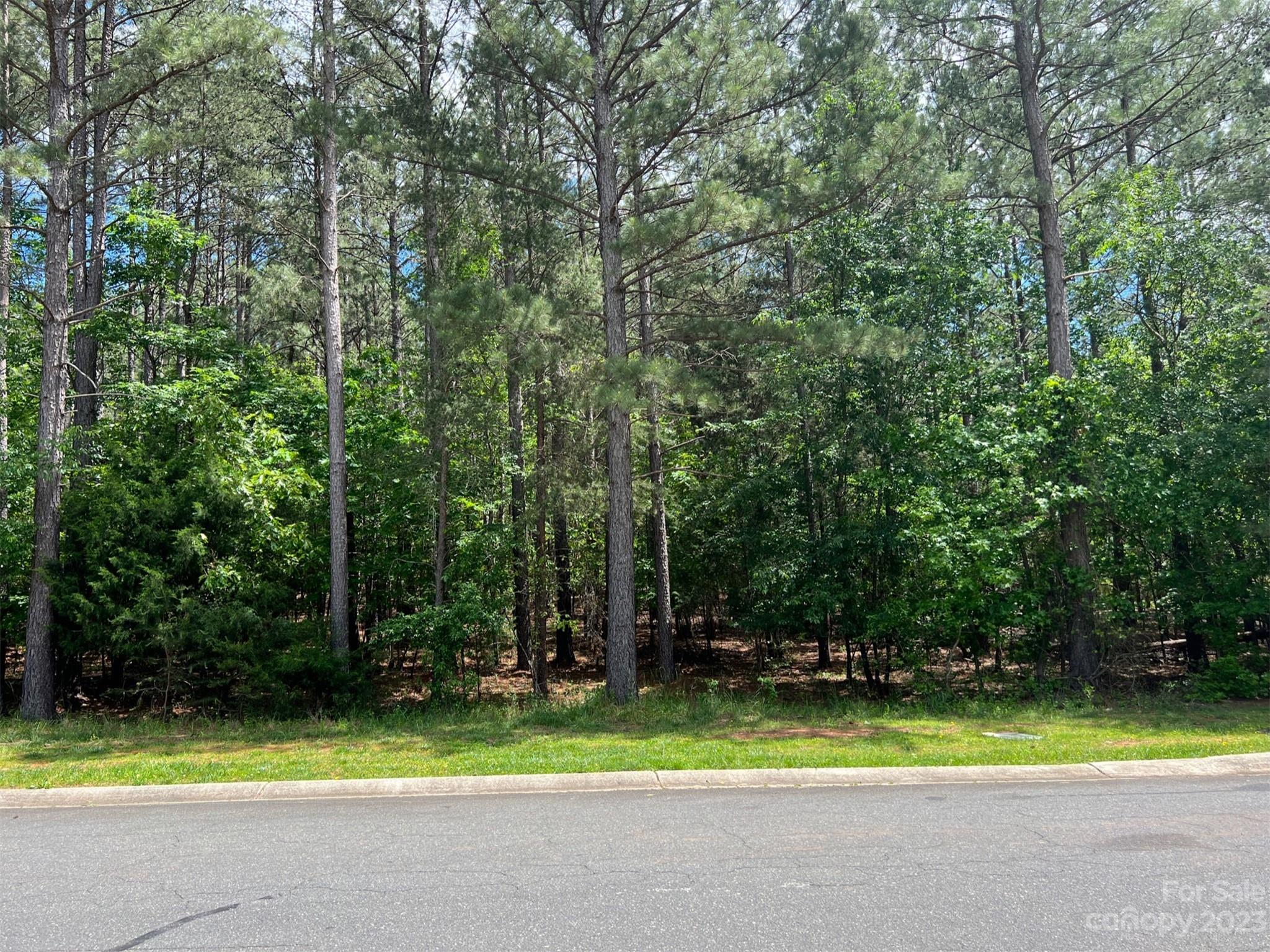 Reflection Pointe - Land