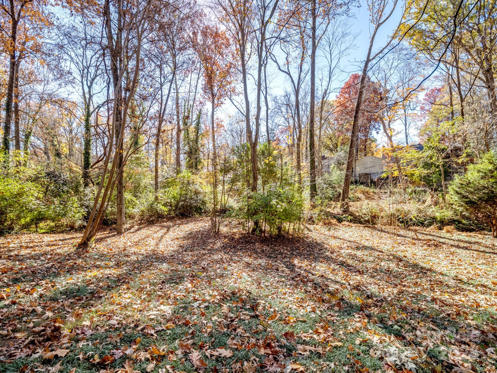 Barclay Downs - Residential