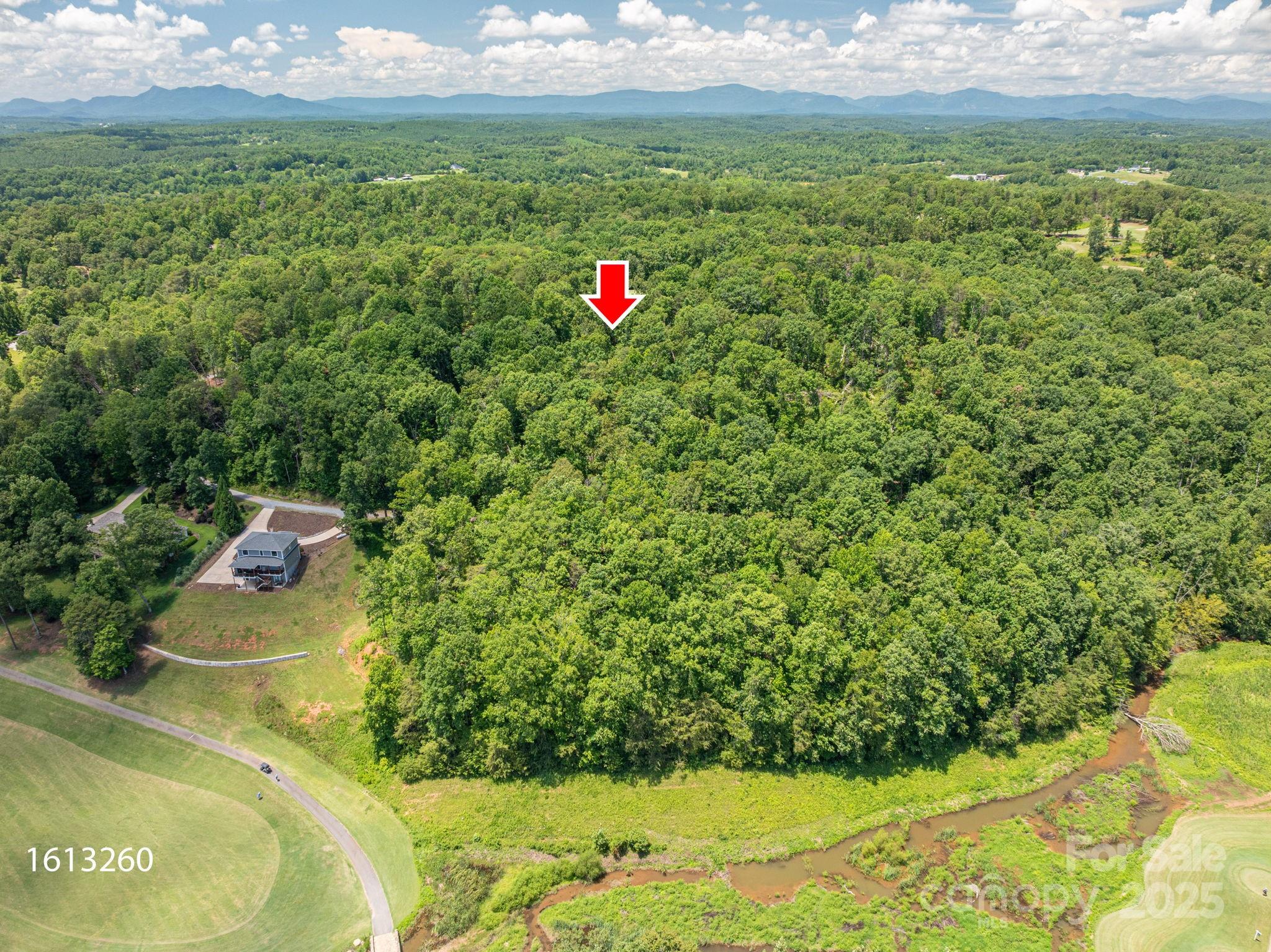 Cleghorn Plantation - Land