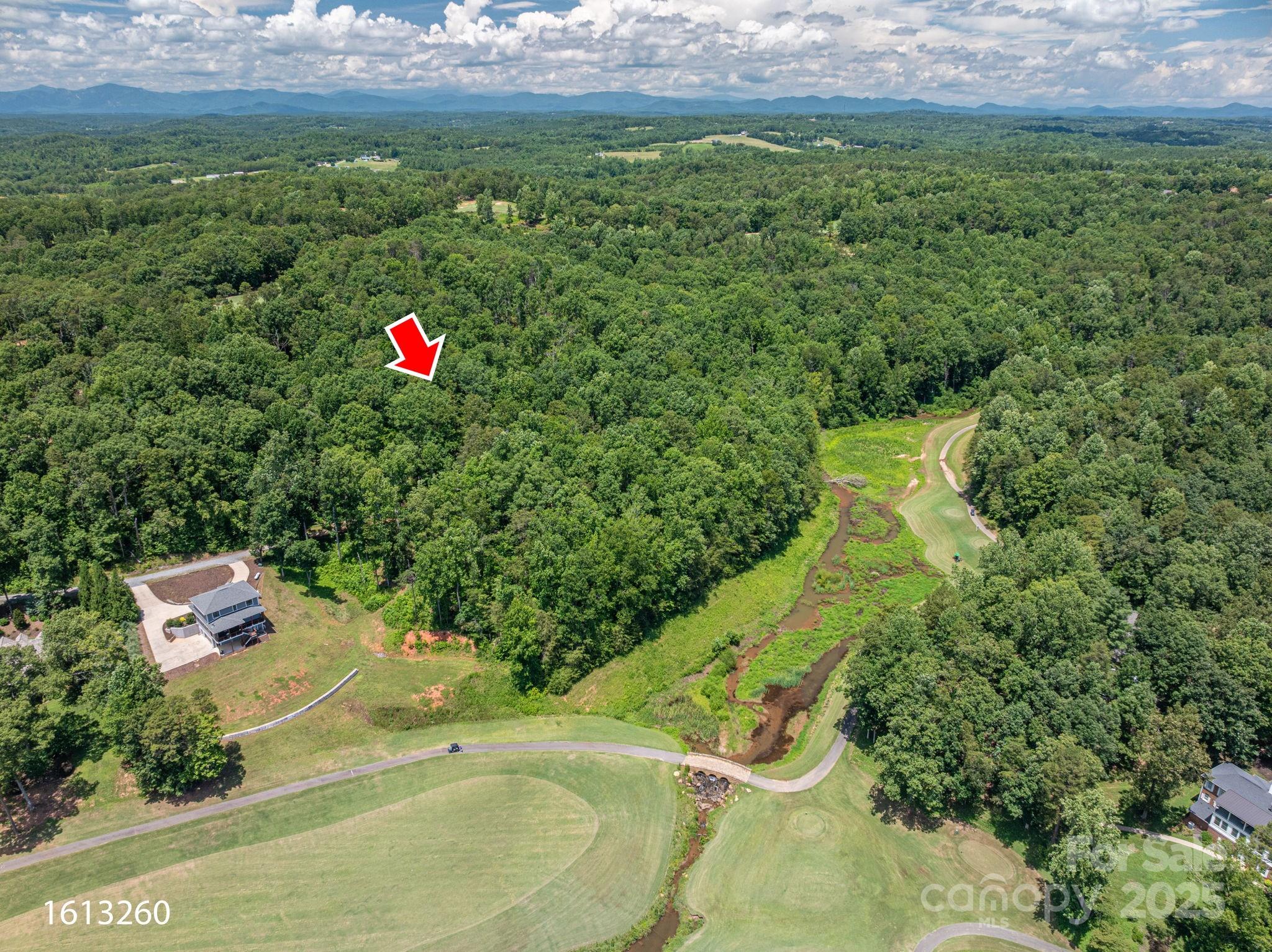 Cleghorn Plantation - Land