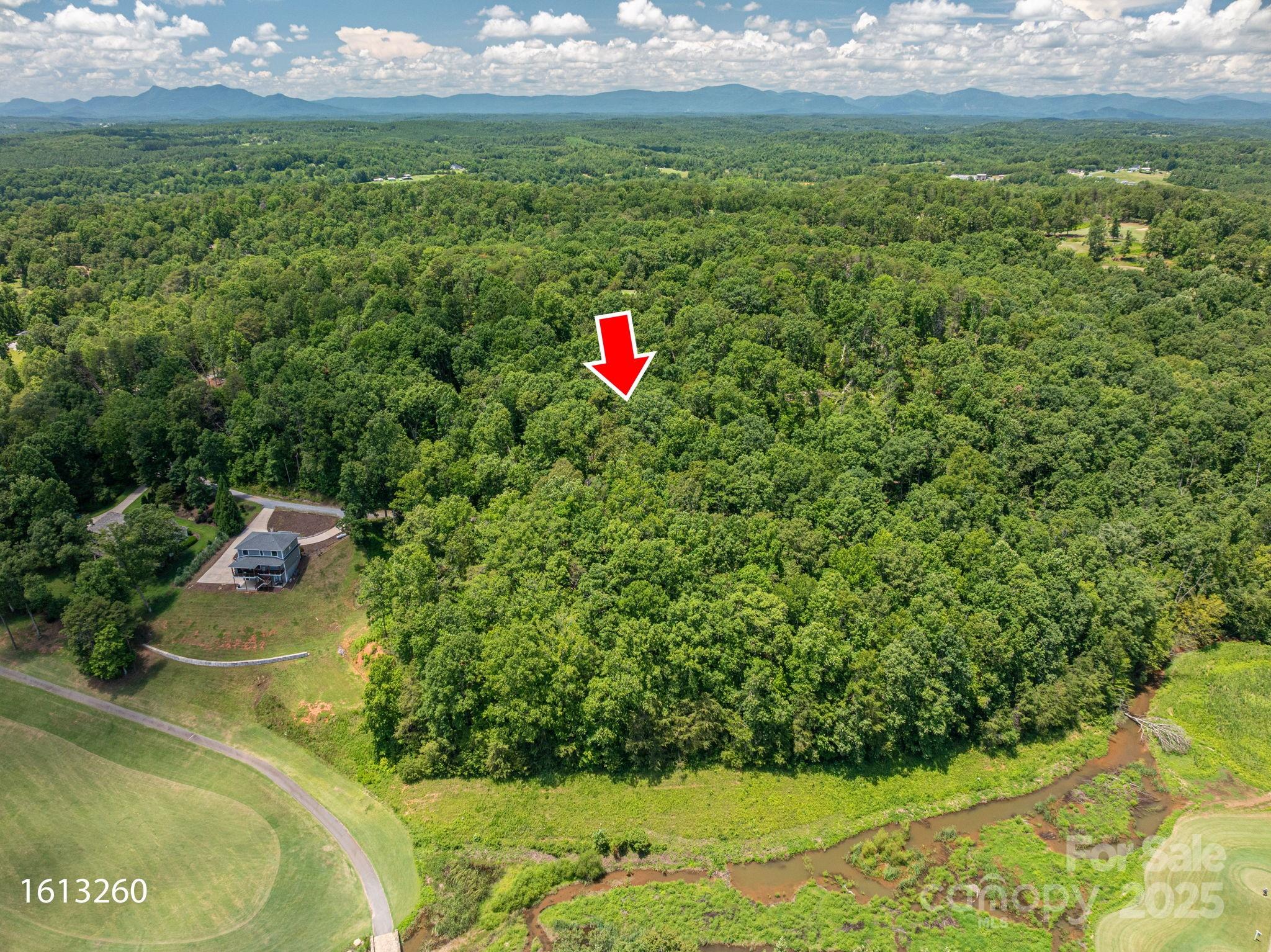 Cleghorn Plantation - Land