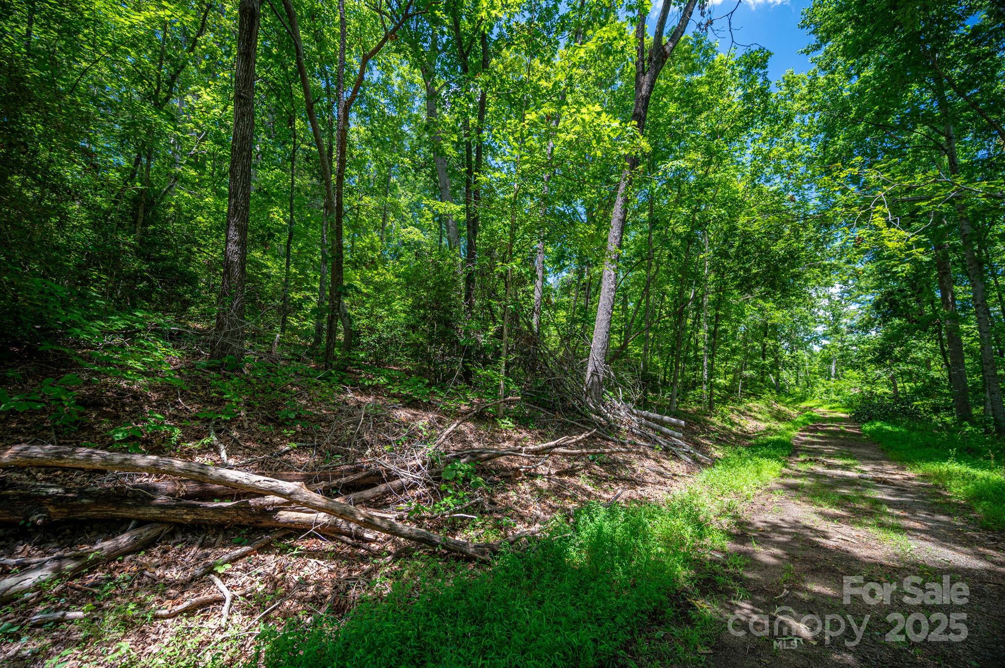 Lot 210 Plantation Drive