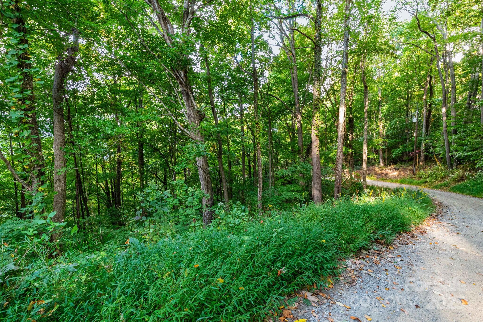 TBD Springbrook Farm Road