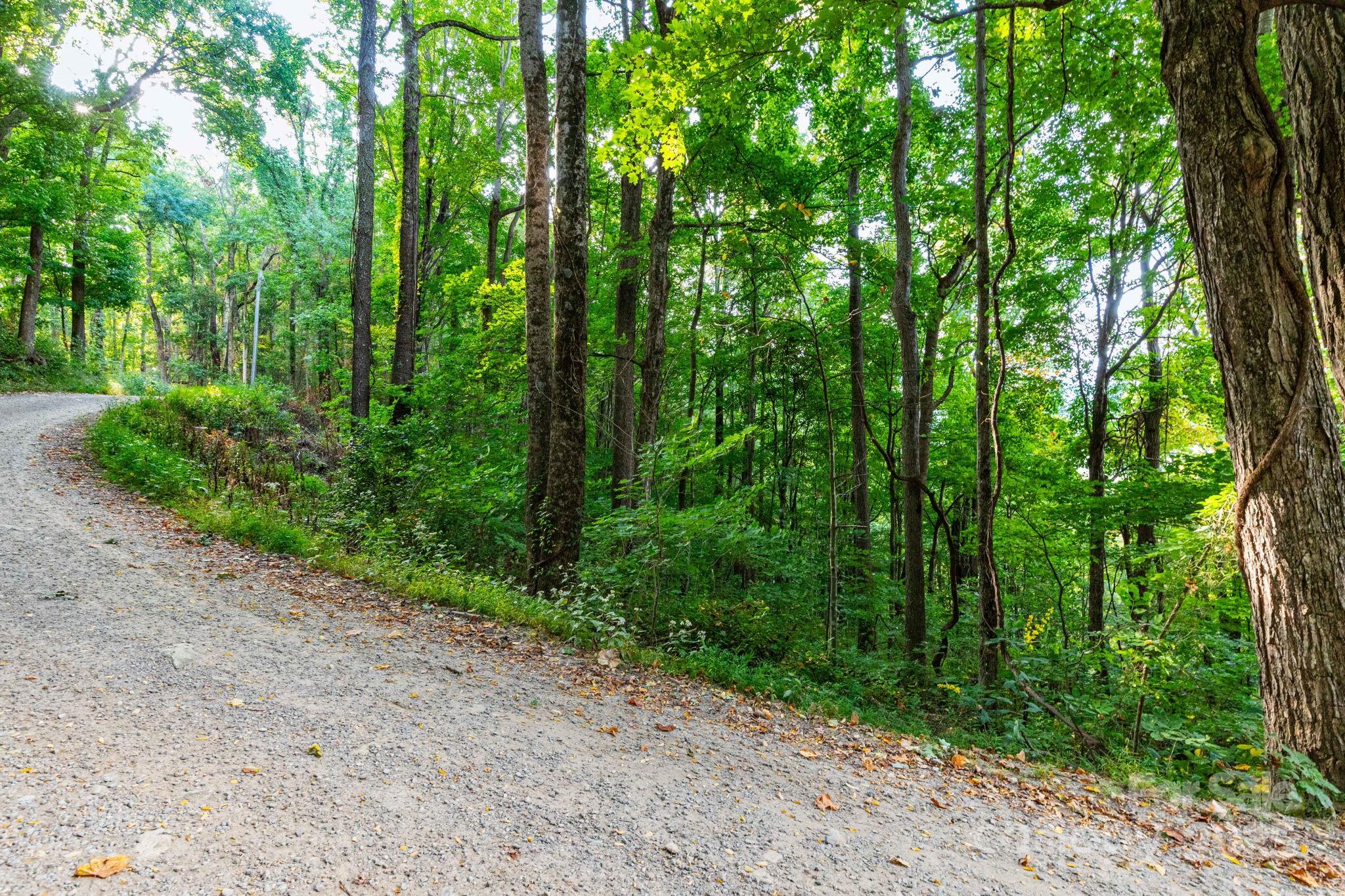 TBD Springbrook Farm Road