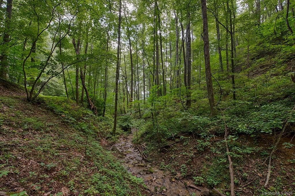 Mountain Springs Estates - Residential