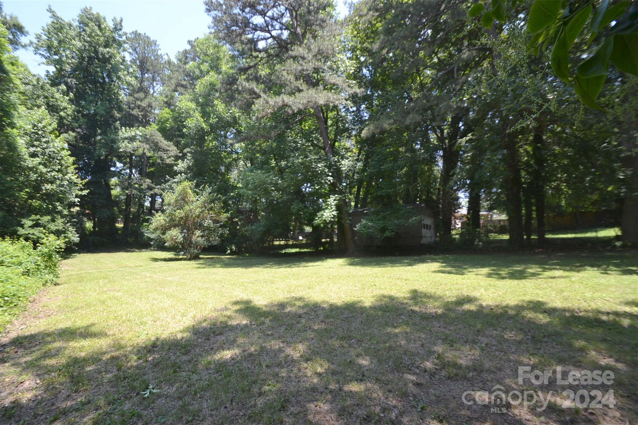 None - Residential Lease