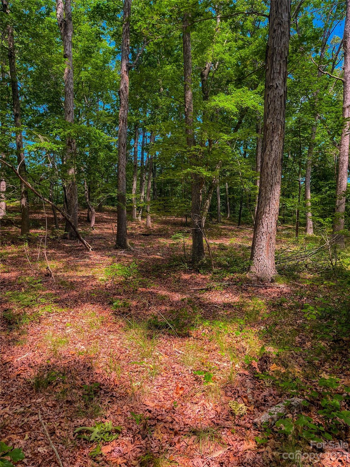 The Springs At High Rock - Land