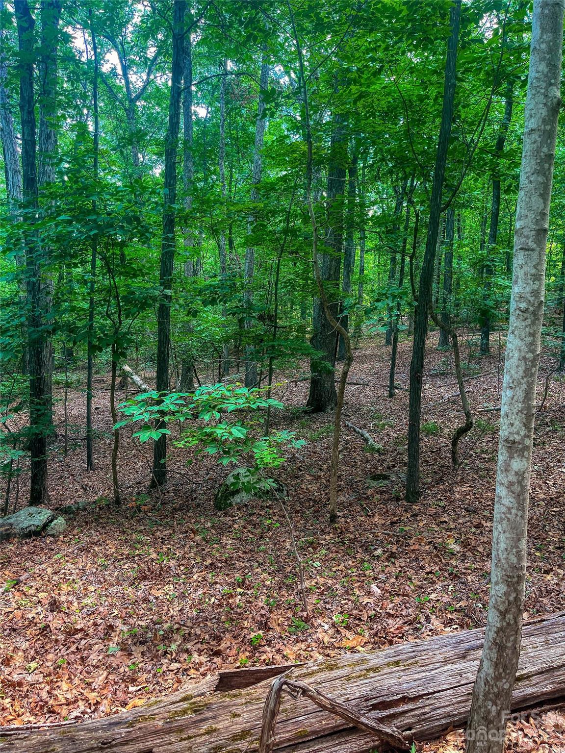 The Springs At High Rock - Land
