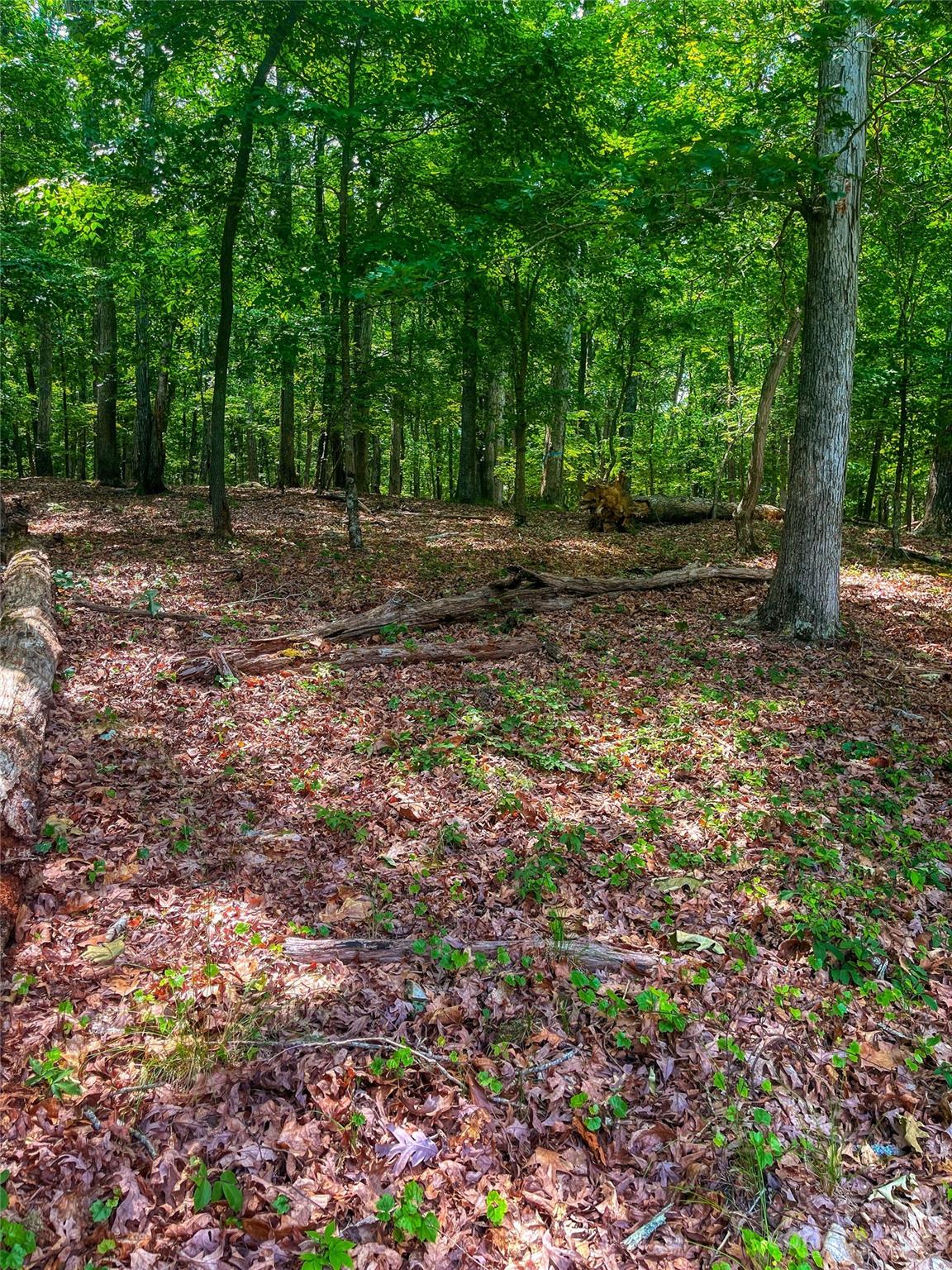 The Springs At High Rock - Land