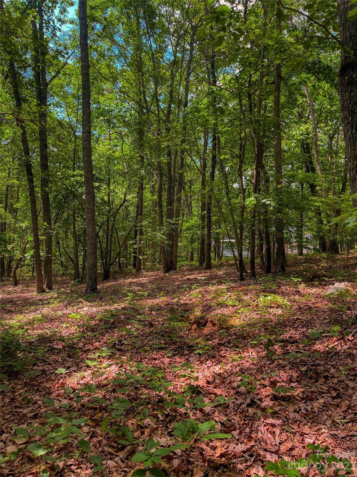 The Springs At High Rock - Land