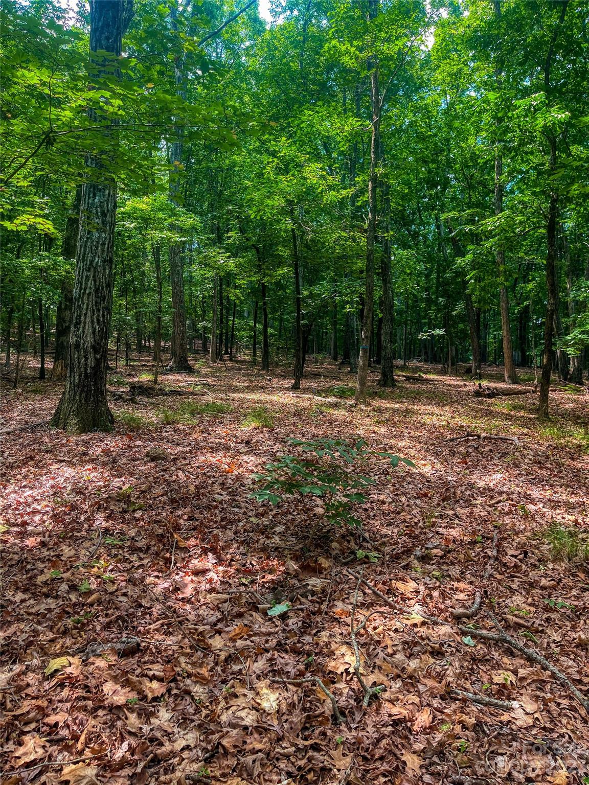 The Springs At High Rock - Land