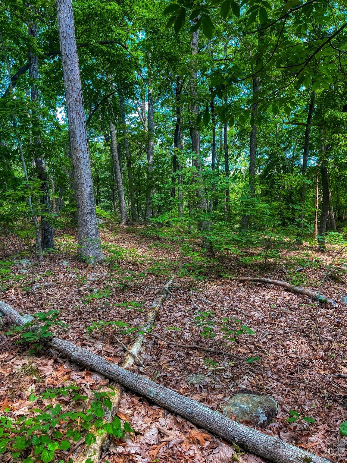The Springs At High Rock - Land