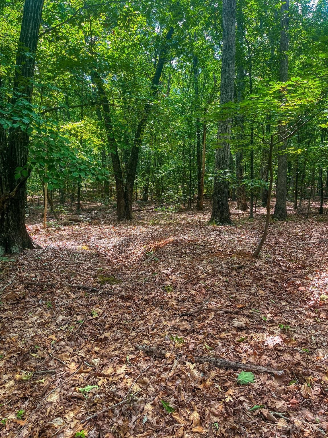 The Springs At High Rock - Land