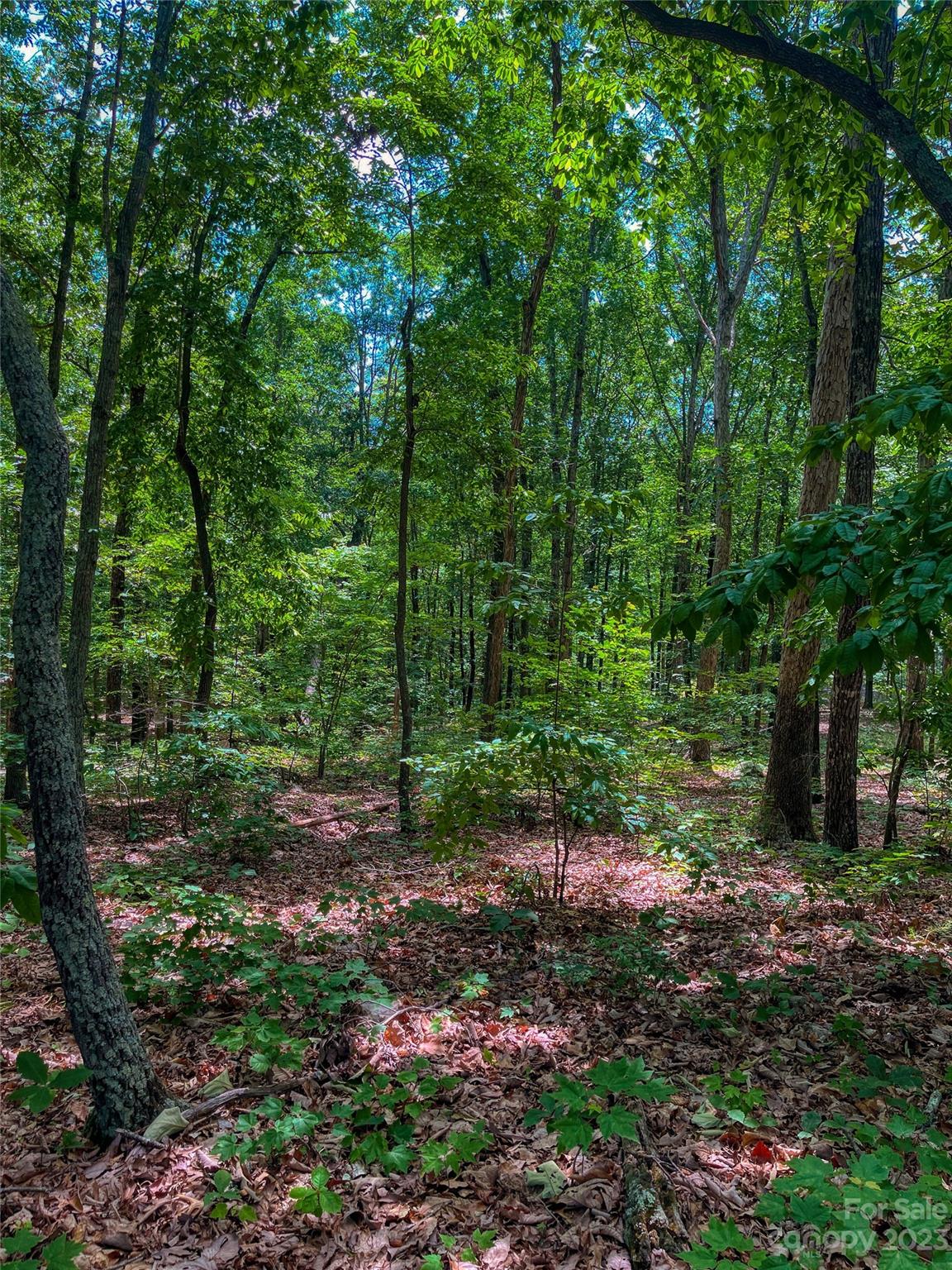 The Springs At High Rock - Land
