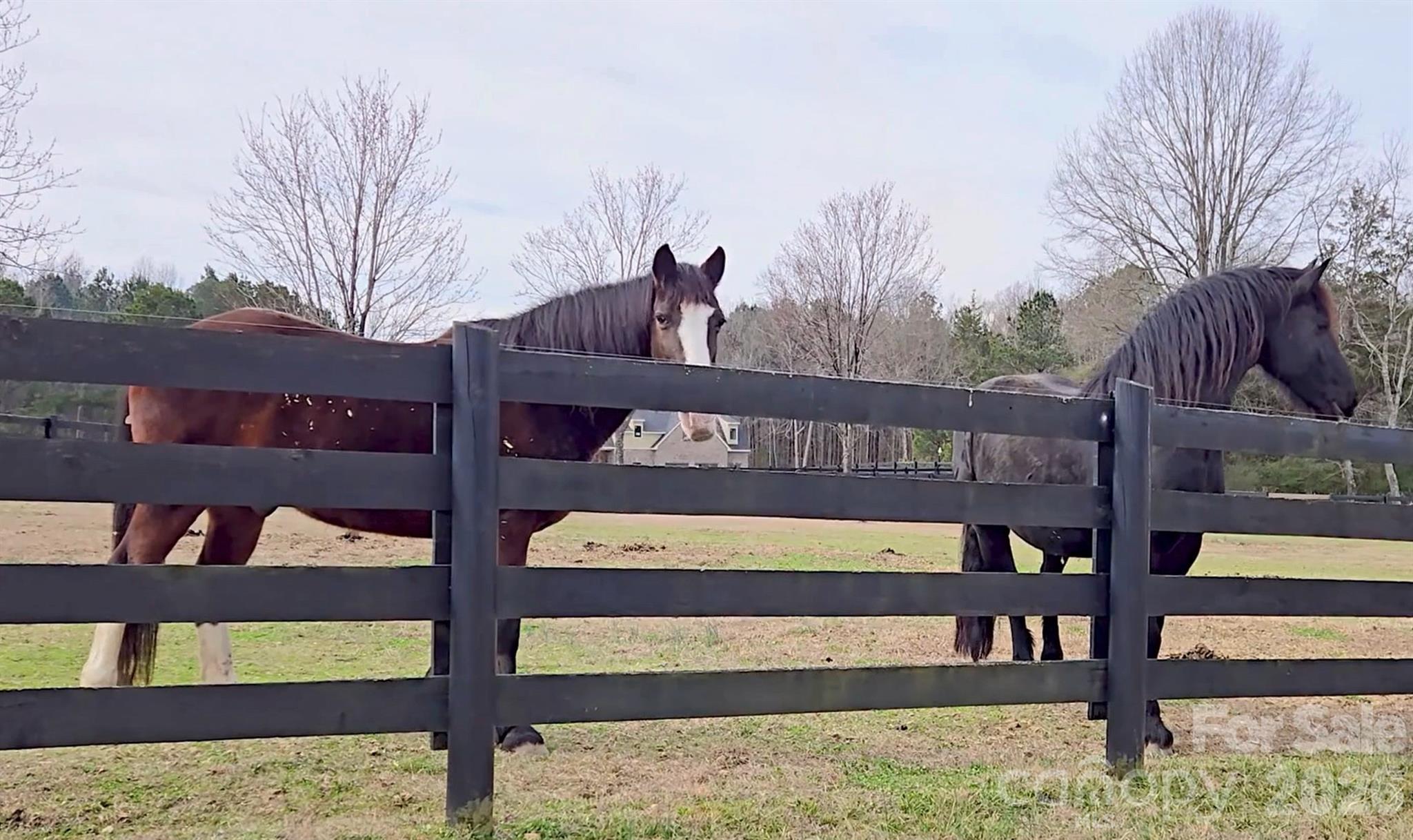 Olde York Farms - Land