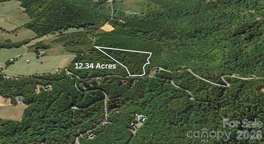 Discover the rare opportunity to own 12.34 ACRES OF SERENE, WOODED MOUNTAIN LAND in the coveted YELLOWTOP MOUNTAIN ESTATES on Arbra Mountain Way in RUTHERFORD COUNTY, a region known for its SCENIC BEAUTY, TRANQUILITY, AND NATURAL CHARM. This BUILDABLE, RESIDENTIAL-ZONED PARCEL offers PAVED ROAD FRONTAGE for easy access and long-term value, providing a blank canvas to BUILD YOUR DREAM HOME OR PRIVATE MOUNTAIN RETREAT surrounded by LUSH WOODS AND BREATHTAKING LANDSCAPES. The property is NOT IN A FLOOD ZONE, with ELECTRICITY NEARBY, giving peace of mind for construction, while buyers will have flexibility to plan WELL AND SEPTIC SYSTEMS as is standard for the area. This tract combines SECLUSION, PRIVACY, AND AMPLE SPACE, making it ideal for a PERMANENT RESIDENCE, WEEKEND GETAWAY, OR FUTURE INVESTMENT, and the SELLER IS MOTIVATED, OPEN TO OFFERS, AND FINANCING IS AVAILABLE, giving you flexibility to make it yours. Don’t miss this chance to own a piece of RUTHERFORD COUNTY’S BEAUTIFUL MOUNTAIN LANDSCAPE—perfect for enjoying NATURE, PRIVACY, AND THE FREEDOM TO CREATE YOUR IDEAL RETREAT.
