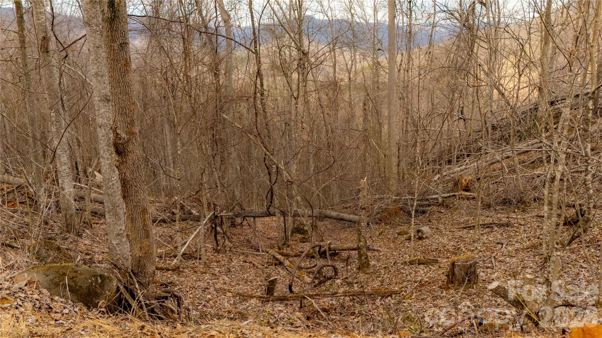 000 Elliotts Loop 123 & 124