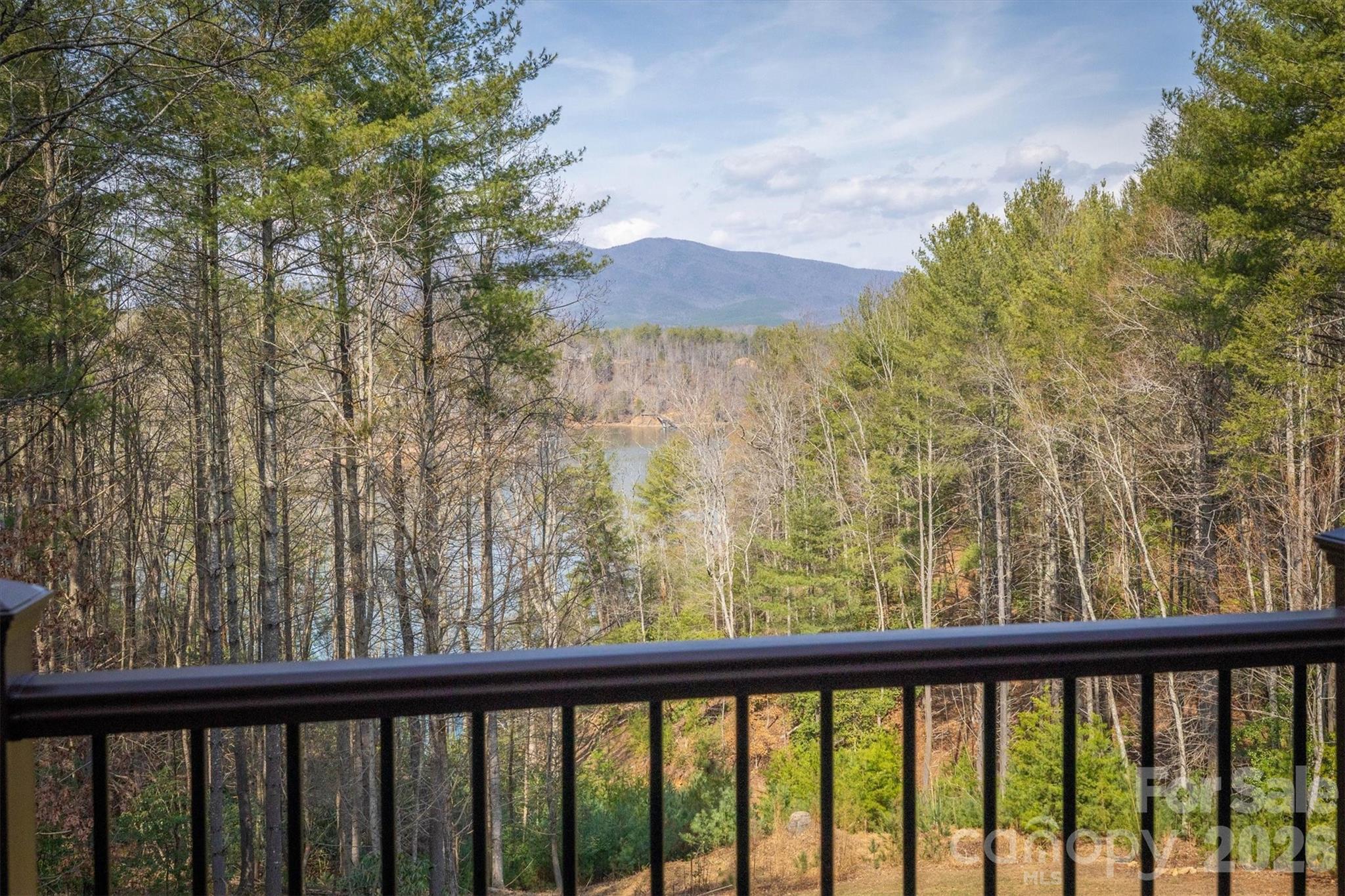 Old Wildlife Club - Residential