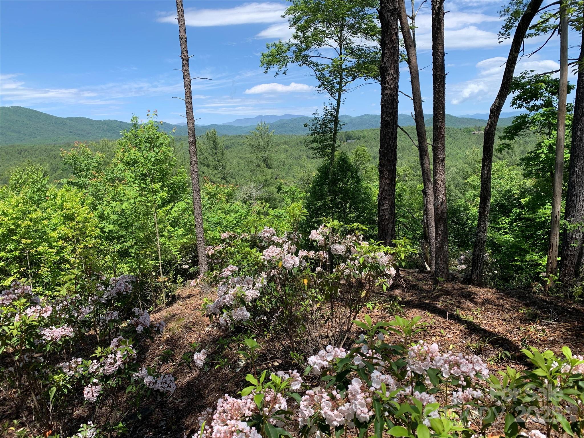 Lot 392 River Ridge Way