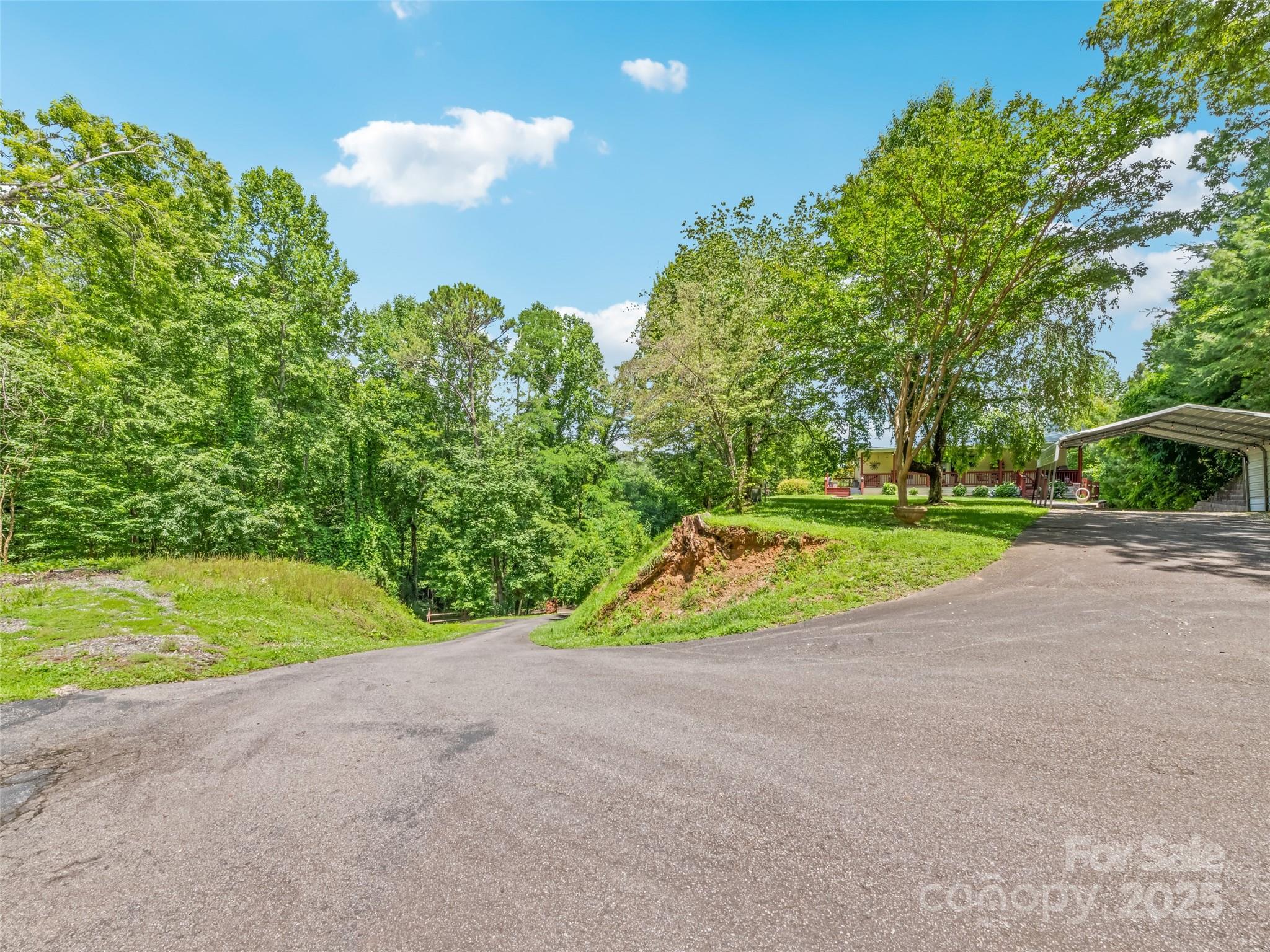 165 Lollis Lane