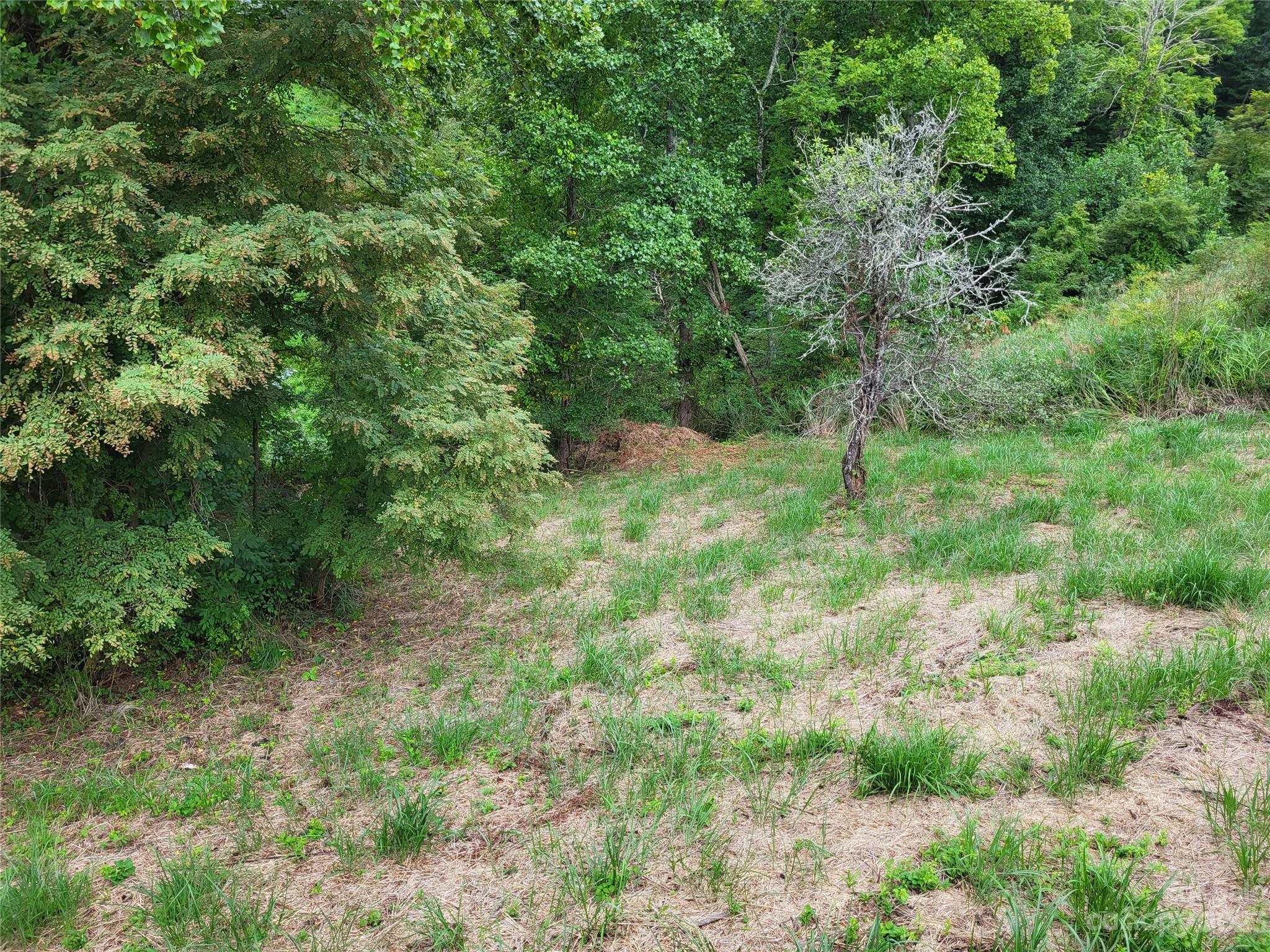 Petersburg Crossing - Land