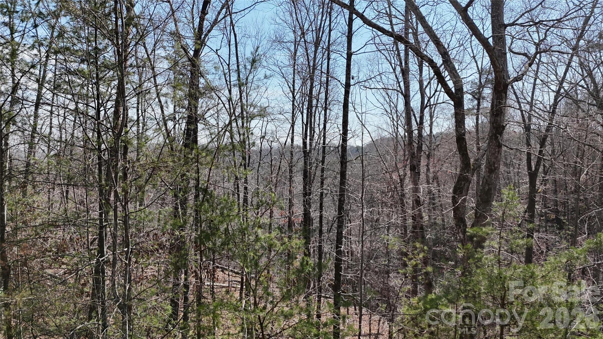 Riverbend at Lake Lure - Land