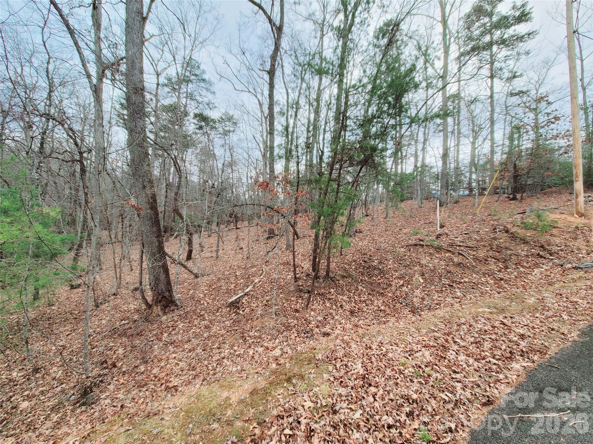 Riverbend at Lake Lure - Land
