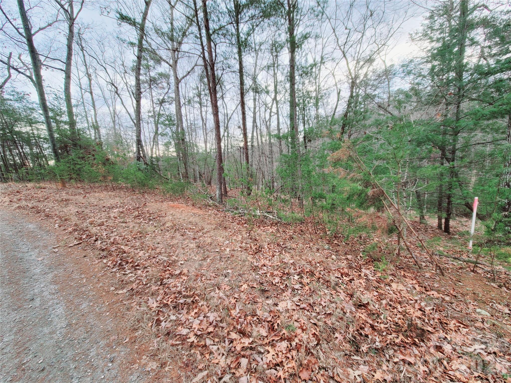 Riverbend at Lake Lure - Land