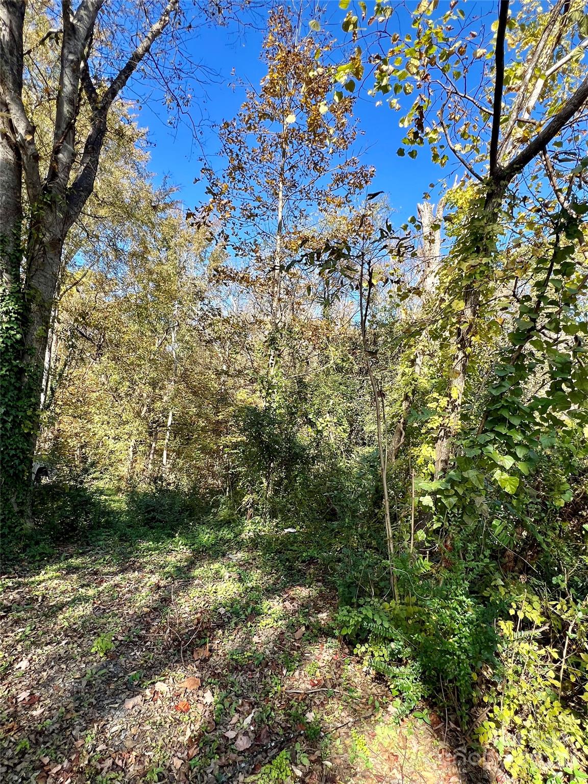 Woodland Park - Land