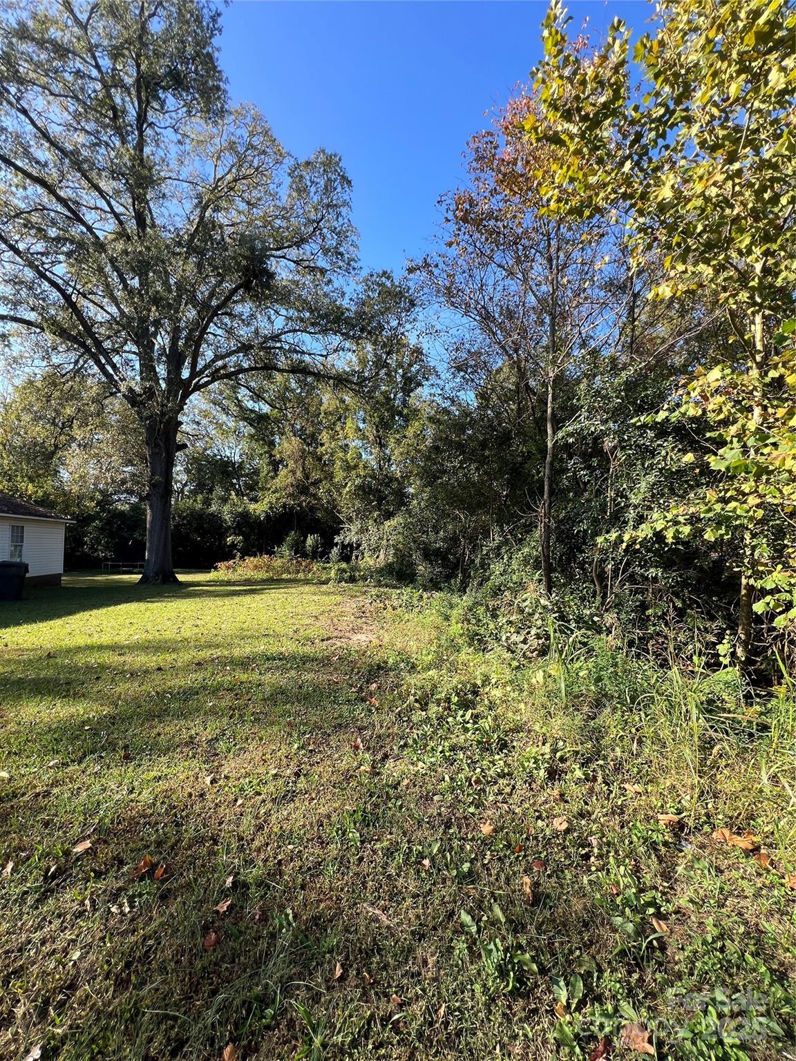 Woodland Park - Land