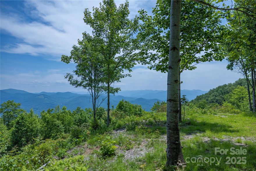 What did you say you were looking for?  A property with High Elevations (4000+- feet), magnificent Long-Range Views to the SE, S, SW, Easy Access, good- size Acreage, Cleared View/Flat Build site AND a Rushing Creek for a Great Value?!
Tucked away just off the 4 Lane is Sylva Vista, a laid-back gated community offering convenience yet privacy.  This 8+ acre tract sits near the top of the fabled Plott Balsams and is surrounded by the Sylva watershed, Blue Ridge Parkway, National Forest and nature conservancies. The cleared one acre, Flat building lot gives unparalleled views some of NC's highest peaks. Take a hike through the woods and stroll down to the peaceful sounding Henry Creek. This would make a great home site for a local looking to level up or as a second home for those seeking fresh mountain air day and night.
STR's OK.
Please watch video for more views and perspectives.
Light restrictions, minimum SF, potential to subdivide- see CCR's

owner is licensed NC broker