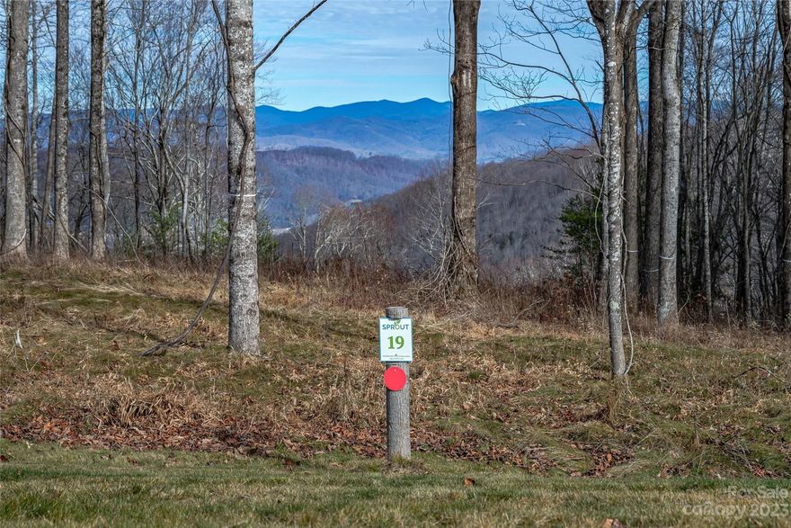 Extraordinary building site in WNC’s new Sprout community between Asheville and Hendersonville near Pisgah National Forest, Blue Ridge Parkway and 6.3 miles to downtown Hendersonville. Lot 19 is unique because of its access to trailheads, efficient north/south orientation, and easy access atop Rich Mountain with one of the few level to gently sloping homesites. Enjoy year-round mountain views, and miles of recreational and biking trails. Intentionally designed conservation community offers community gardens, apiaries, backyard farms, and protected trails and habitat. The community consists of 375 acres and 80 homesites. The land is preserved for the enjoyment of Sprout owners and their families. Sprout is a gated community that promotes green-building practices, solar panels, geothermal systems and Energy Star certifications. Convenient location six miles to grocery, 17 miles to Biltmore Estate, nine miles to Asheville Airport and 20 miles to downtown Asheville and the acclaimed RAD.