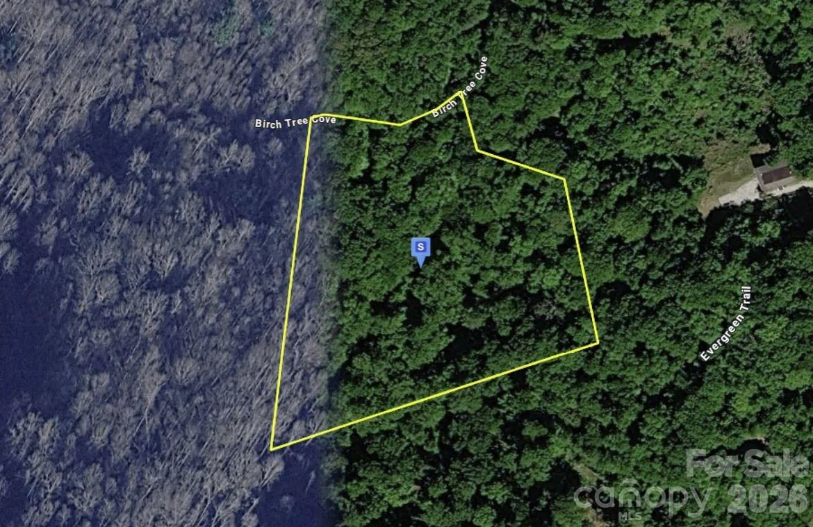 111 Birch Tree Cove, Franklin, NC, 28734