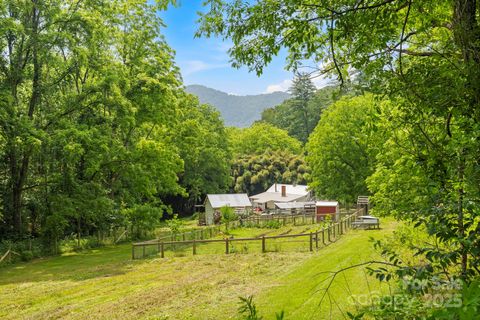 51 HOMEFIRE COVE Cove Leicester NC 28748