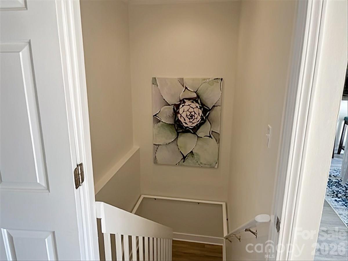 Rumbling Bald on Lake Lure - Residential