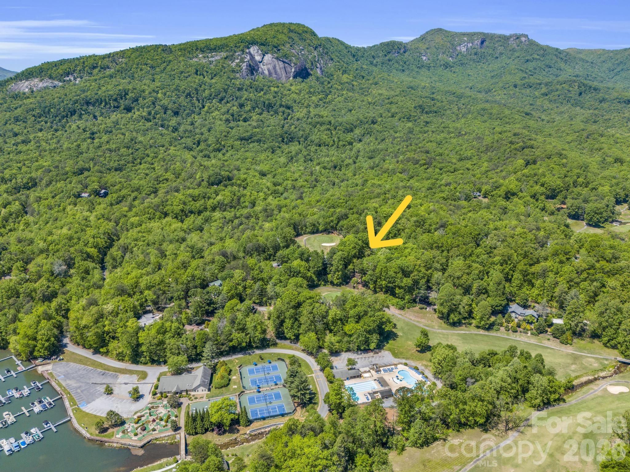 Rumbling Bald on Lake Lure - Residential