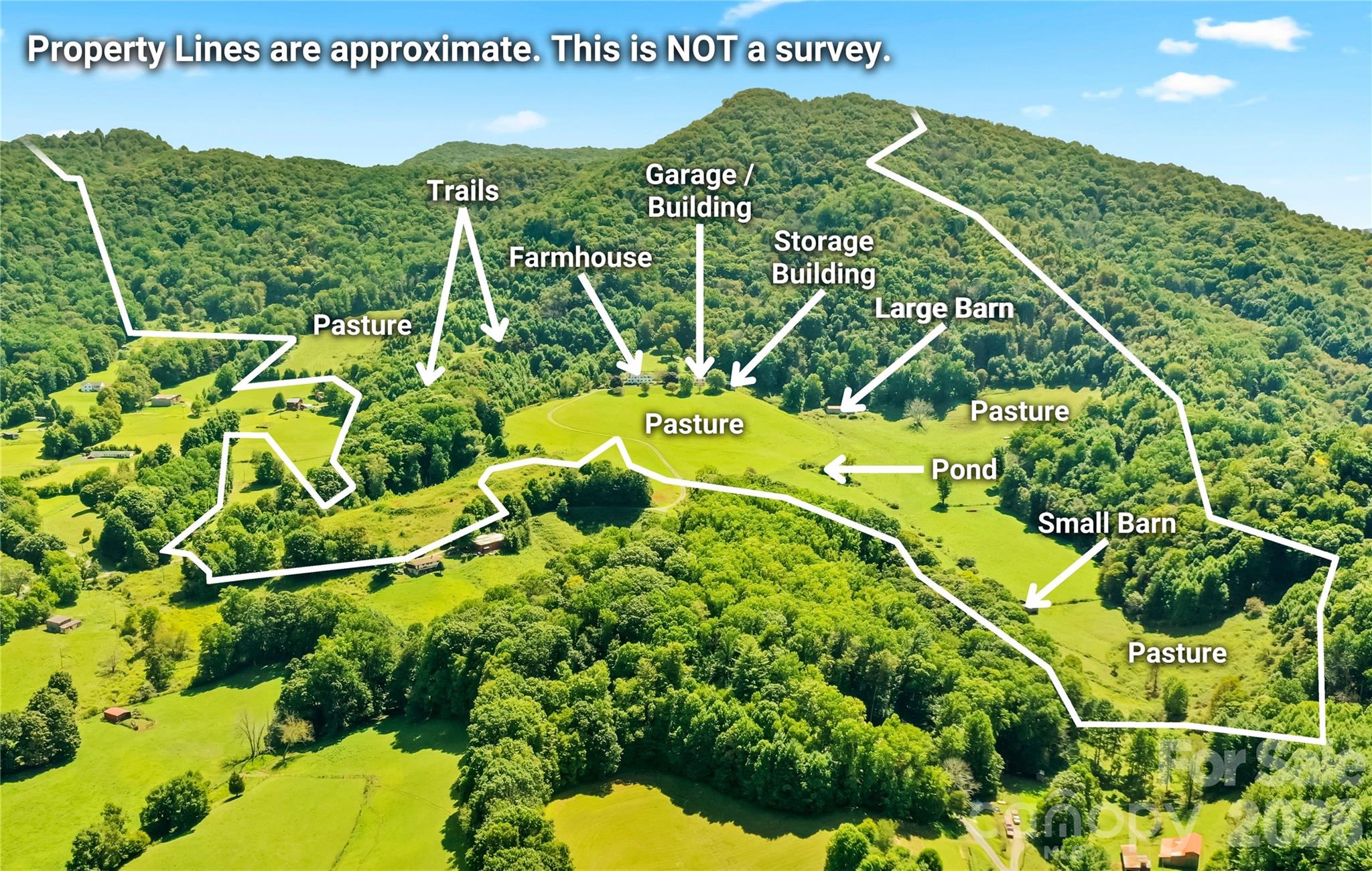 840 Ed Williams Road